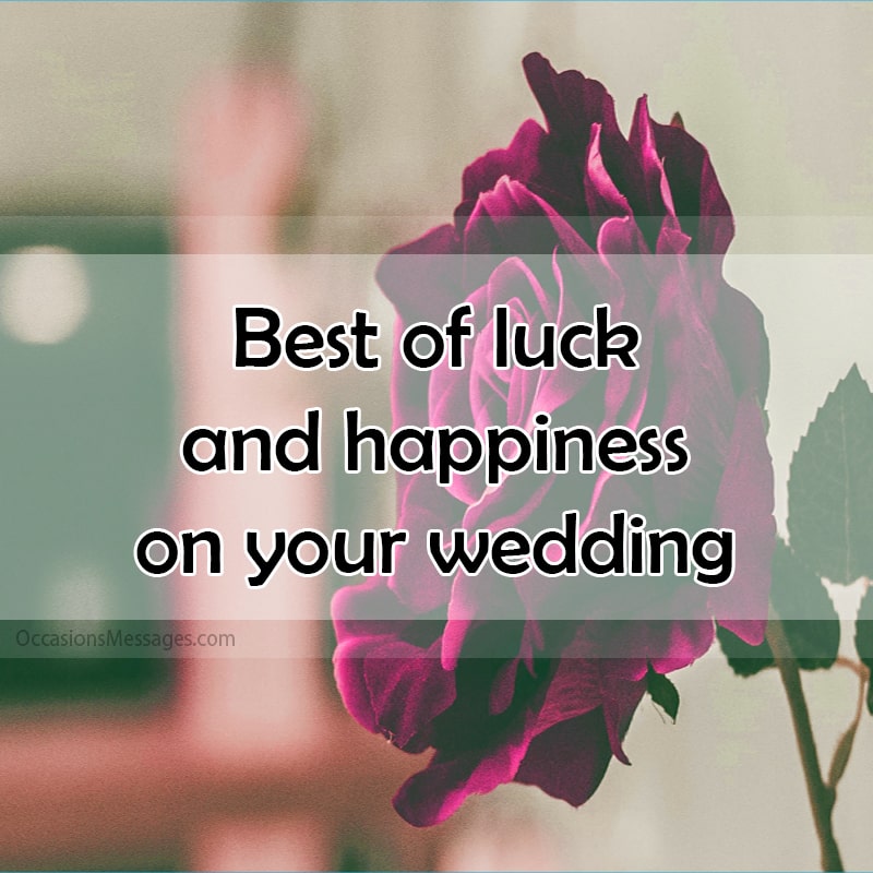 Best of luck and happiness on your wedding day.