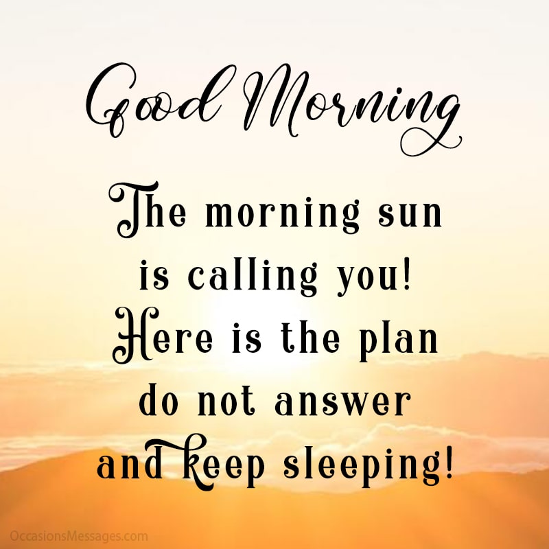The morning sun is calling you! Here is the plan: do not answer and keep sleeping!