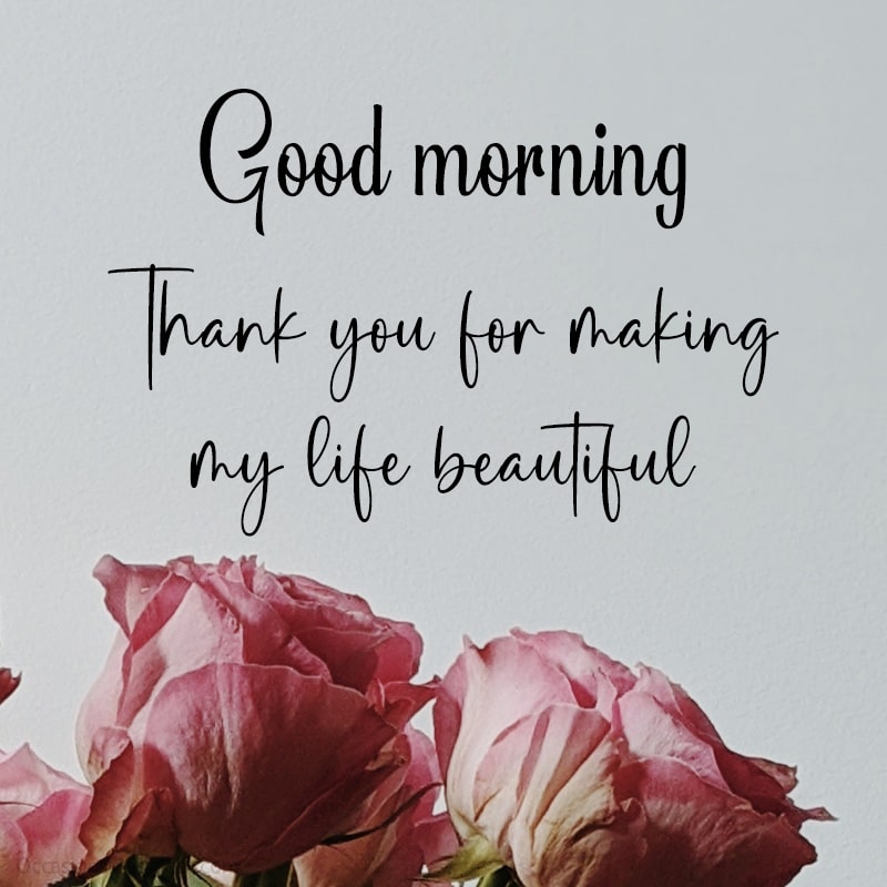 Good morning. Thank you for making my life beautiful.