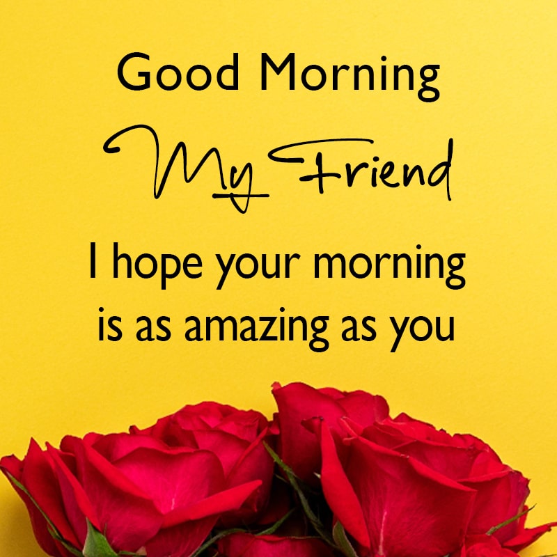 Good Morning, my friend. I hope your morning is as amazing as you.