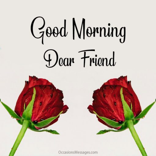 Best 100+ Good Morning Messages for Friends