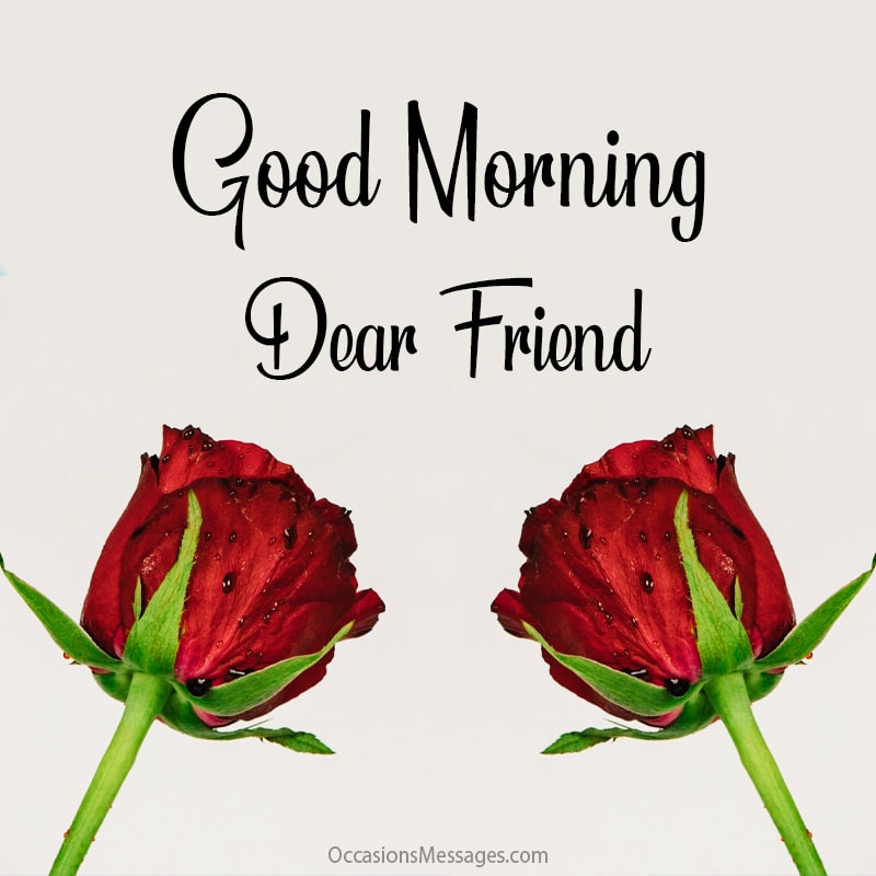 Good Morning my Friend