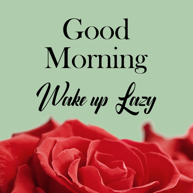 Good Morning. Wake up Lazy.