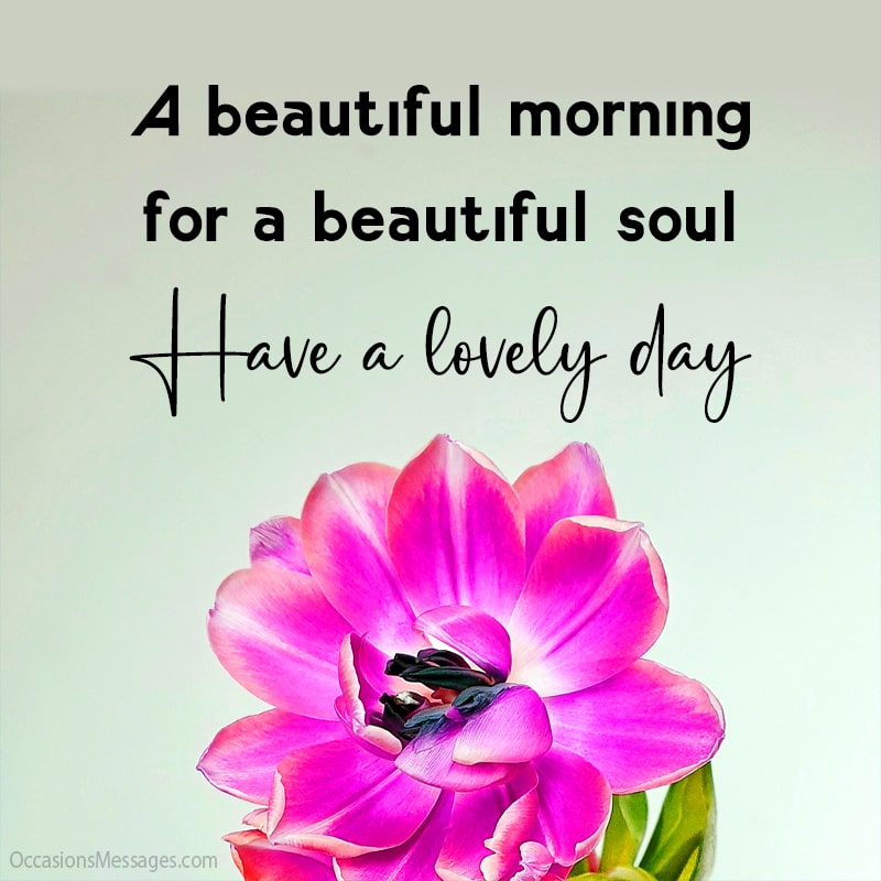 A beautiful morning for a beautiful soul. Have a lovely day.
