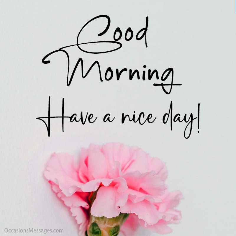 Top 50 Motivational Good Morning Messages And Cards