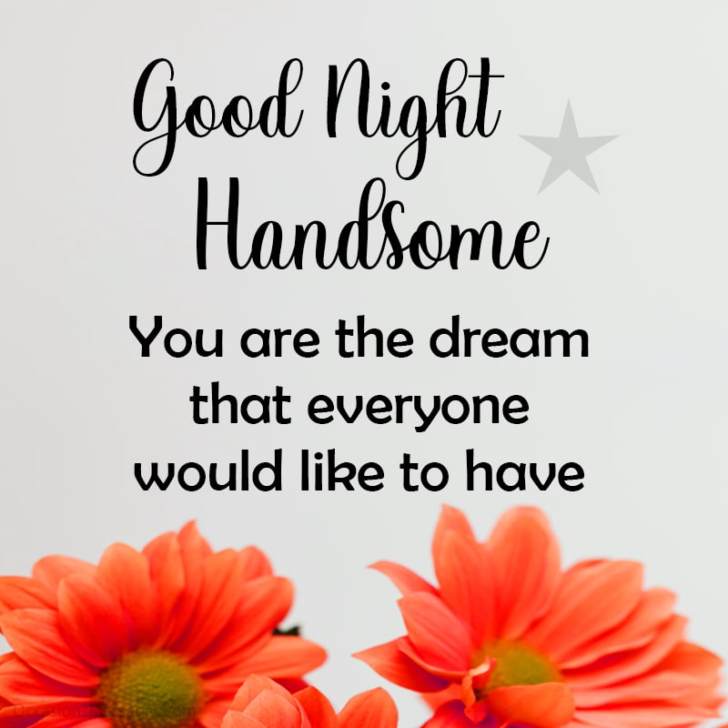 Good Night handsome. You are the dream that everyone would like to have.