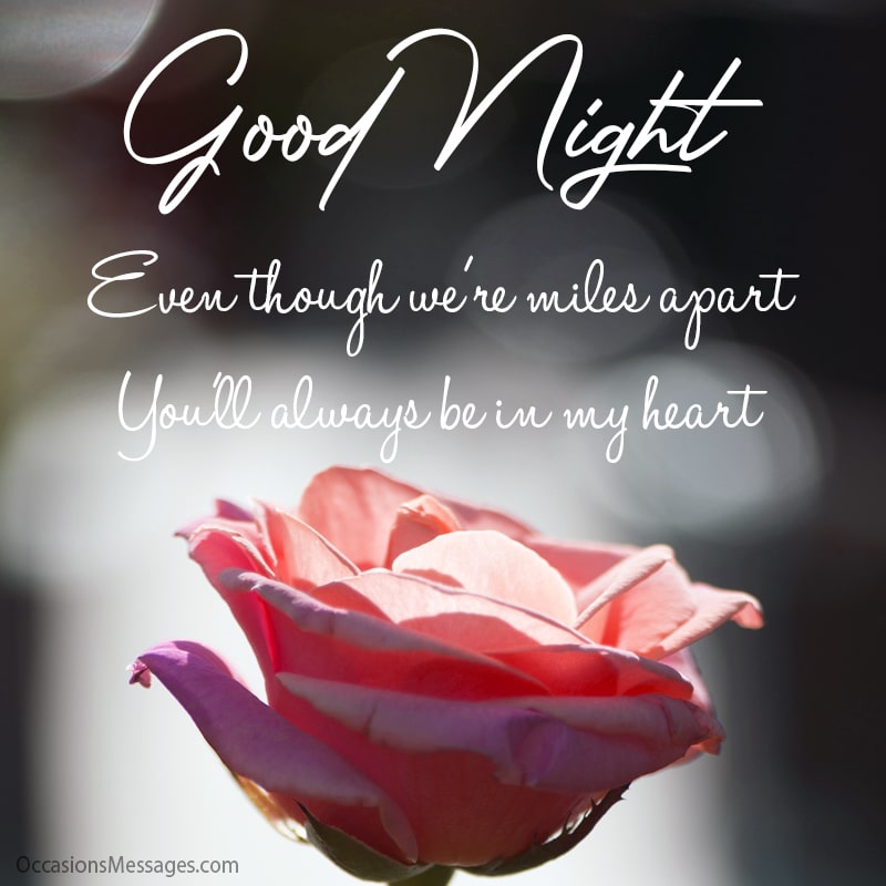 Good night! Even though we're miles apart, you'll always be in my heart.