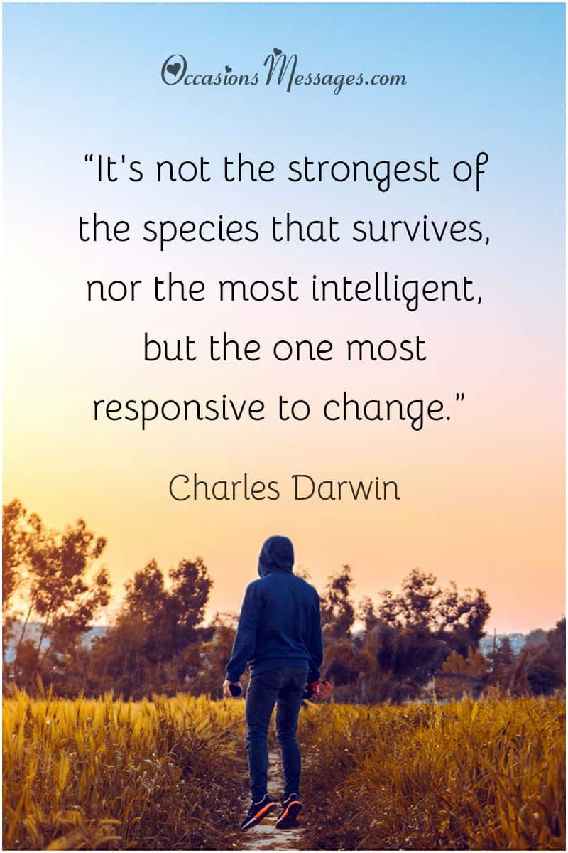 The Best Maybe It's Time To Give Up Motivational Quotes