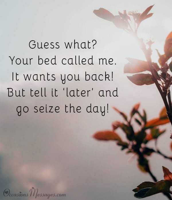 Guess what? Your bed called me. It wants you back! But tell it ‘later’ and go seize the day!