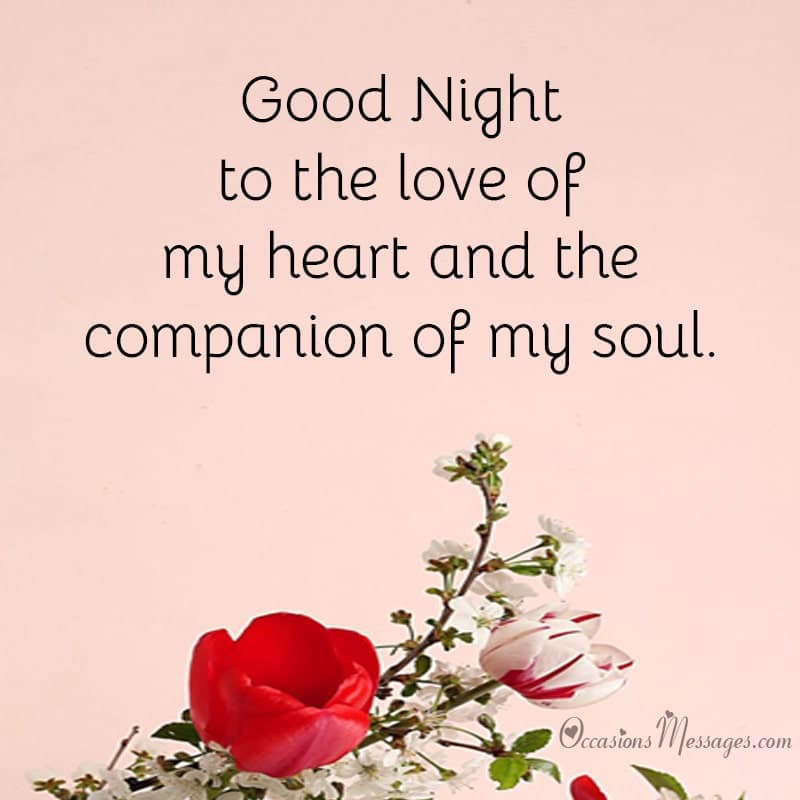 Good Night to the love of my heart and the companion of my soul.