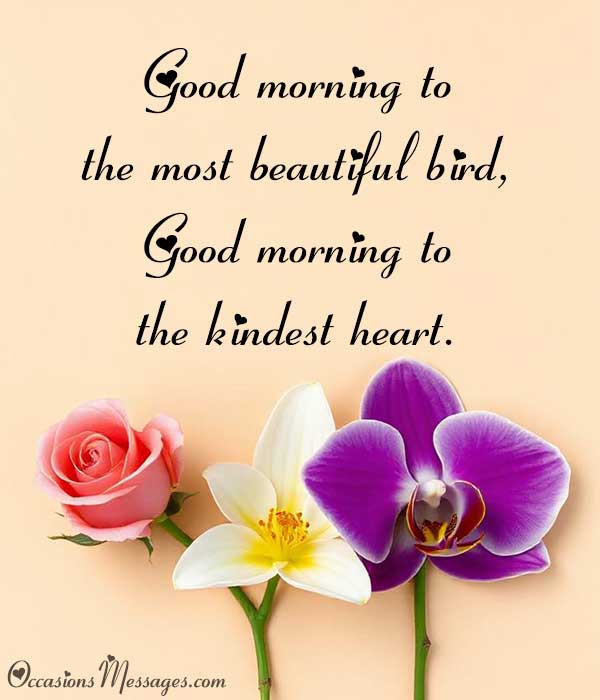 Good morning to the most beautiful bird, good morning to the kindest heart.