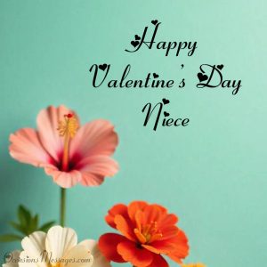 Best 15+ Happy Valentine’s Day Niece - Sweet Messages