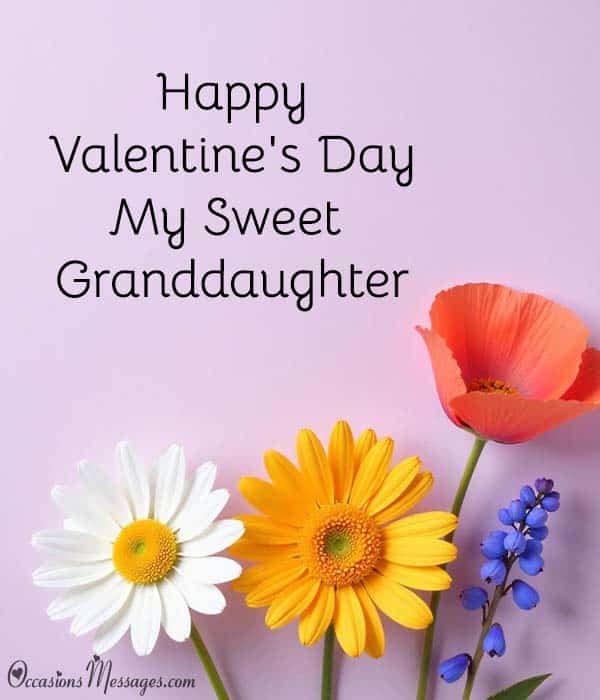 Sweet and Cute Happy Valentine's Day Granddaughter