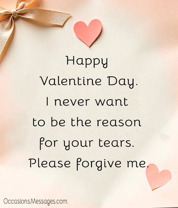 Happy Valentine Day. I never want to be the reason for your tears. Please forgive me.
